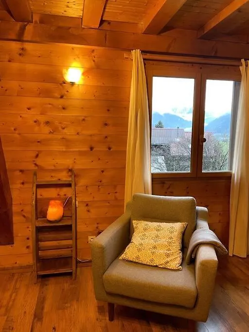 Charme Des Montagnes Et Annecy Apartment Thones